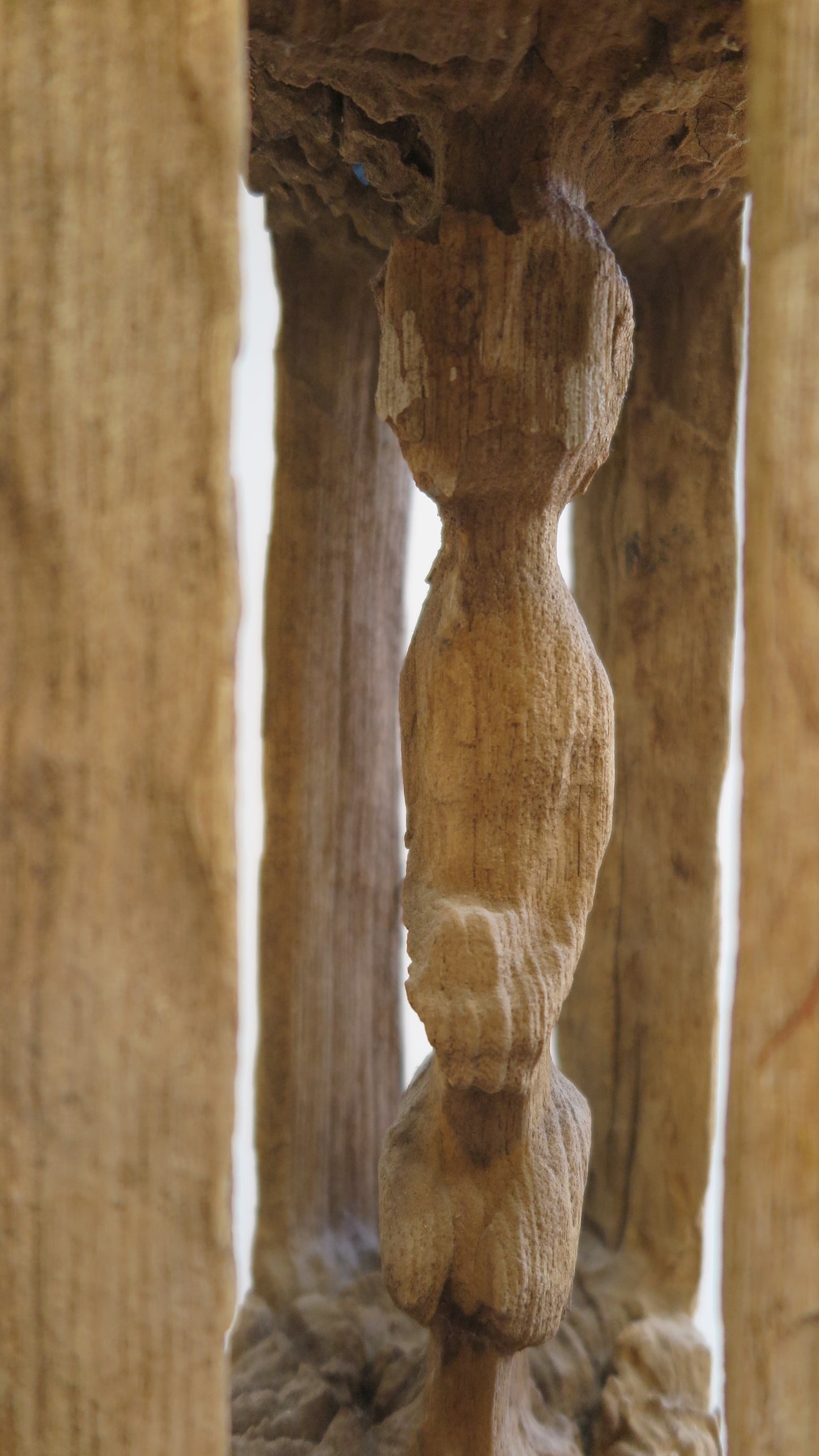 Chin State Totem