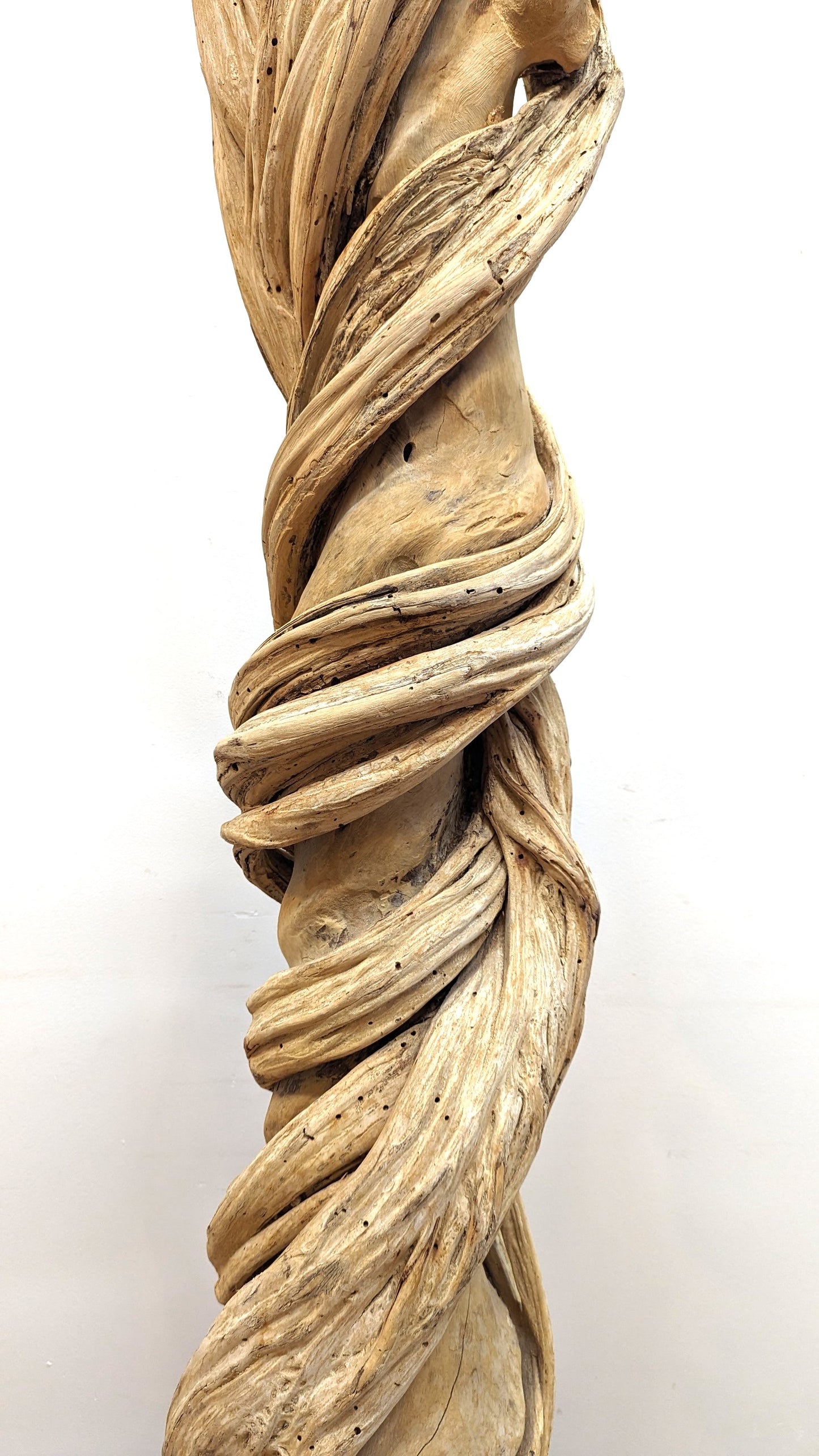 Natural Liana Vine Sculpture