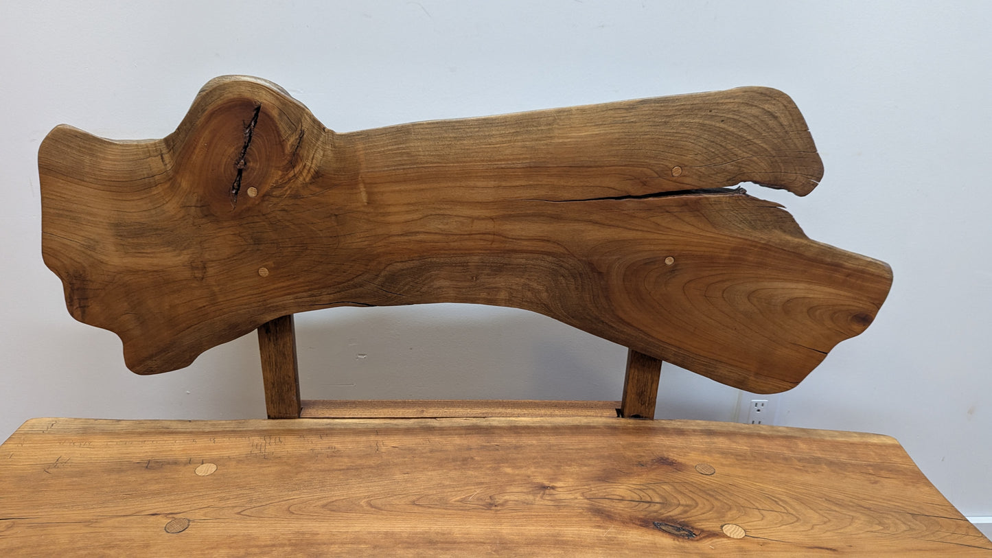Natural Organic Modern Bench