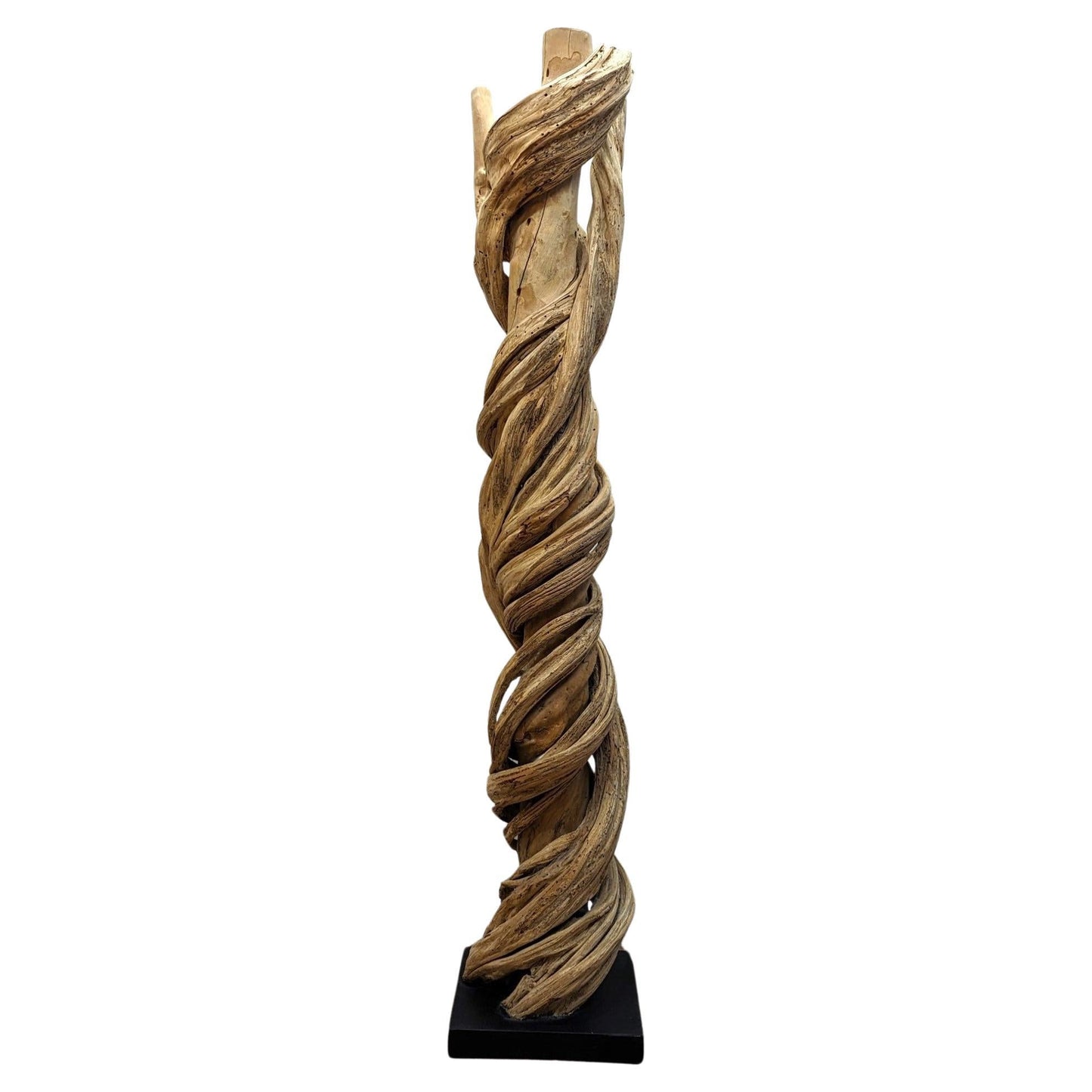 Natural Liana Vine Sculpture