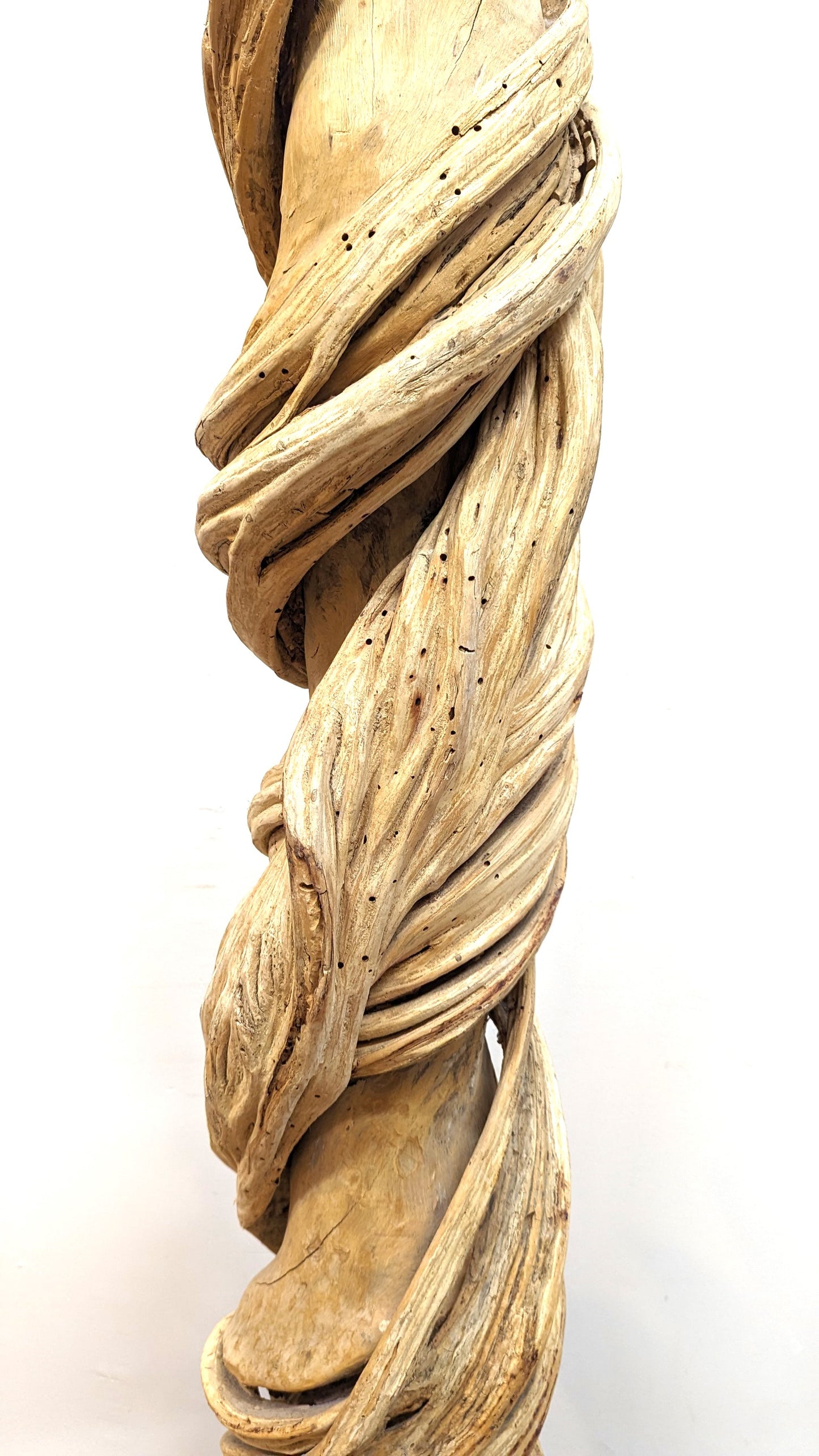 Natural Liana Vine Sculpture